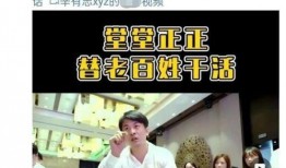 某品牌爆料辛巴视频,揭秘某品牌幕后真相