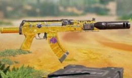 codm最新爆料手册,揭秘新版本内容与更新亮点