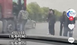 事件最新爆料视频播放,事件背后惊人真相！