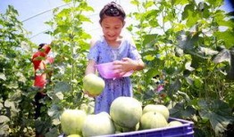 香瓜园吃瓜视频下载免费,夏日清凉一夏