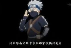 卡卡西外传在线观看,潜行暗影，揭秘忍界传奇