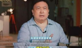 刘振最新爆料视频播放,事件真相再引热议