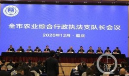 上游新闻记者全国爆料,上游新闻记者揭露社会热点事件