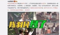 韦丹丹爆料记录视频全集,揭秘事件真相与幕后故事
