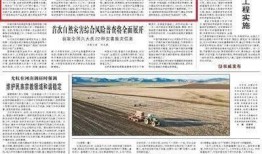 抖音视频爆料有哪些要点,揭秘事件背后惊人真相