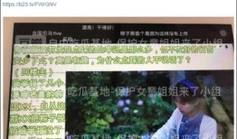 韦丹丹爆料记录视频全集,揭秘事件真相与幕后故事