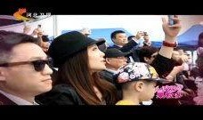明星占卜爆料视频播放,播放量背后的秘密与明星命运