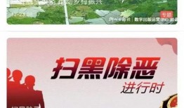 杭州爆料新闻视频,揭秘背后惊人真相