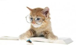 娱乐吃瓜君猫爷,揭秘娱乐圈那些不为人知的幕后故事
