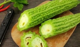 我摆烂吃瓜100集免费观看,揭秘“摆烂吃瓜”背后的娱乐盛宴
