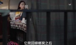 莎姐爆料视频在线观看,揭秘娱乐圈幕后真相