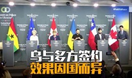 印度外交官爆料视频,揭秘神秘视频背后的真相