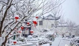 周口桃李春风最新爆料,揭秘项目最新进展与亮点