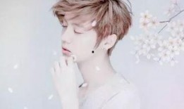 鹿晗漫画爆料最新版本下载