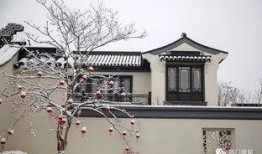 周口桃李春风最新爆料,揭秘项目最新进展与亮点