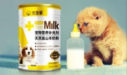 宠物羊奶粉爆料视频播放,爆款视频背后的真相与争议
