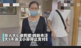 是谁爆料汪小菲了视频,揭秘背后真相