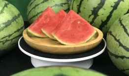 我摆烂吃瓜100集免费观看,揭秘“摆烂吃瓜”背后的娱乐盛宴