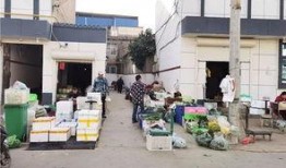 王庄最新爆料消息今天,揭秘今日热点事件内幕