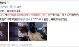 爆料四川富商案件视频大全,真相与疑云交织