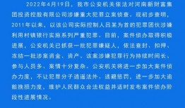 河南村里爆料新闻视频,惊人事件引发村民热议
