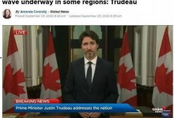 加拿大新闻爆料,惊人内幕揭露政府决策黑幕