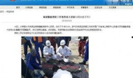 出海船员爆料视频网页版,揭秘出海生活幕后真相