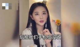 女网红新爆料视频大全集,揭秘娱乐圈幕后真相