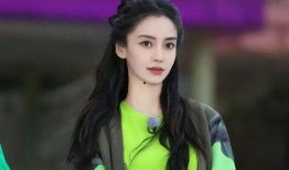 娱乐圈爆料杨颖,揭秘明星背后的故事