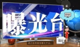 最新百姓爆料新闻,百姓视角下的社会热点事件追踪