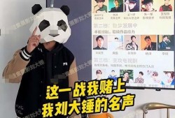 大锤爆料最新视频大全集,揭秘幕后故事，带你领略精彩瞬间
