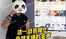 大锤爆料最新视频大全集,揭秘幕后故事，带你领略精彩瞬间