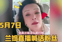 兰姐黑粉爆料视频,真相与争议并存