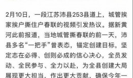 撕春联爆料人遭威胁视频,真相背后引关注