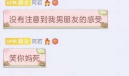 大瓜爆料视频文章大全,揭秘娱乐圈幕后真相，海量视频文章大盘点
