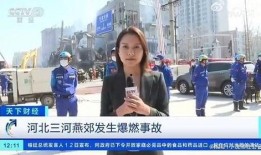 欧洲记者爆料视频大全最新,揭秘真相与幕后黑幕