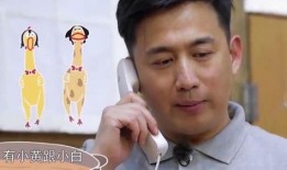 黄磊吃鸡爆料事件视频在线观看,揭秘娱乐圈幕后真相