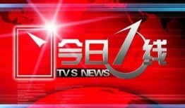 广东今日一线热点爆料新闻,聚焦最新热点爆料，揭秘社会焦点事件