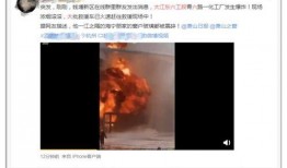 杭州爆料新闻视频,揭秘背后惊人真相