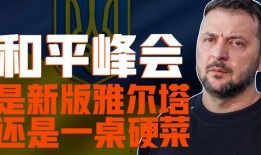 印度外交官爆料视频,揭秘神秘视频背后的真相