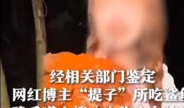 网红吃白鲨被爆料了视频,视频曝光引发社会热议