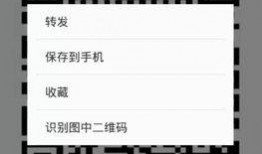爆料二维码破解版最新,二维码破解版功能全解析