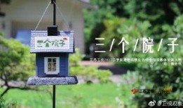 三个院子在线观看免费,免费在线解锁神秘庭院之旅