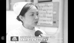 最新爆料石家庄新闻联播,最新爆料聚焦城市动态与民生焦点