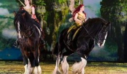 高清特洛伊在线观看,史诗战争巨制的在线观影指南