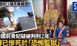 泰国贵妃最新爆料,宫廷秘闻大揭秘