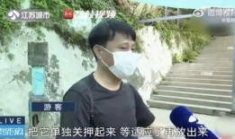 网红吃瓜被老板打了,一场网络风波背后的真相