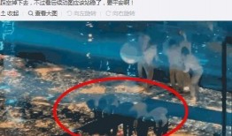 贺峻霖粉丝爆料视频,揭秘明星幕后生活片段