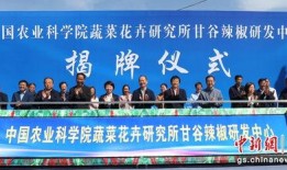 甘肃爆料天水新闻网视频,视频揭露当地民生问题