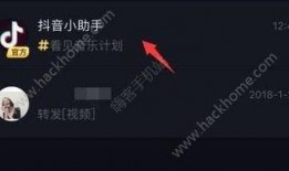 抖音视频爆料有哪些要点,揭秘事件背后惊人真相